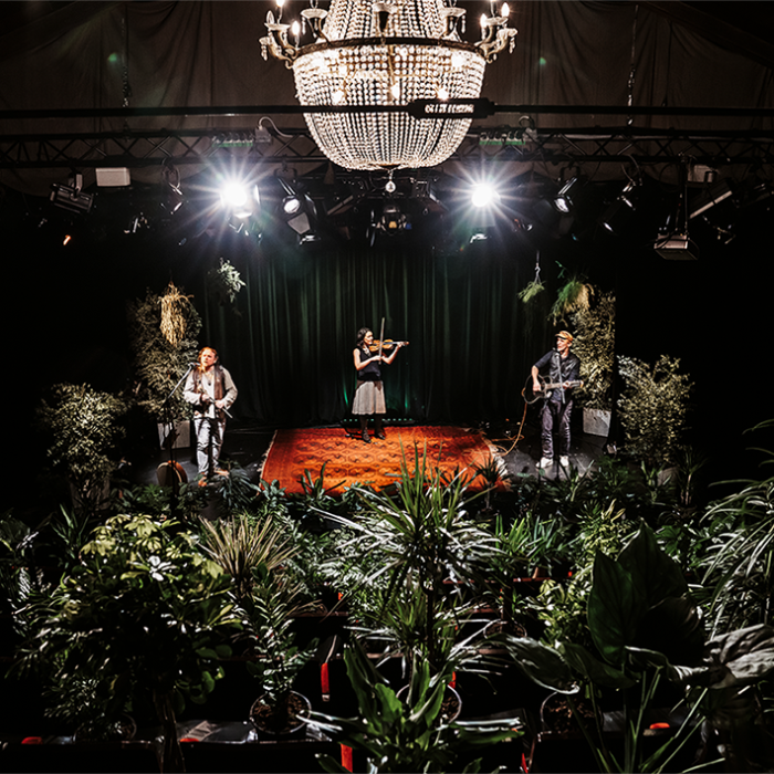 Music For Plants | Dokumentation