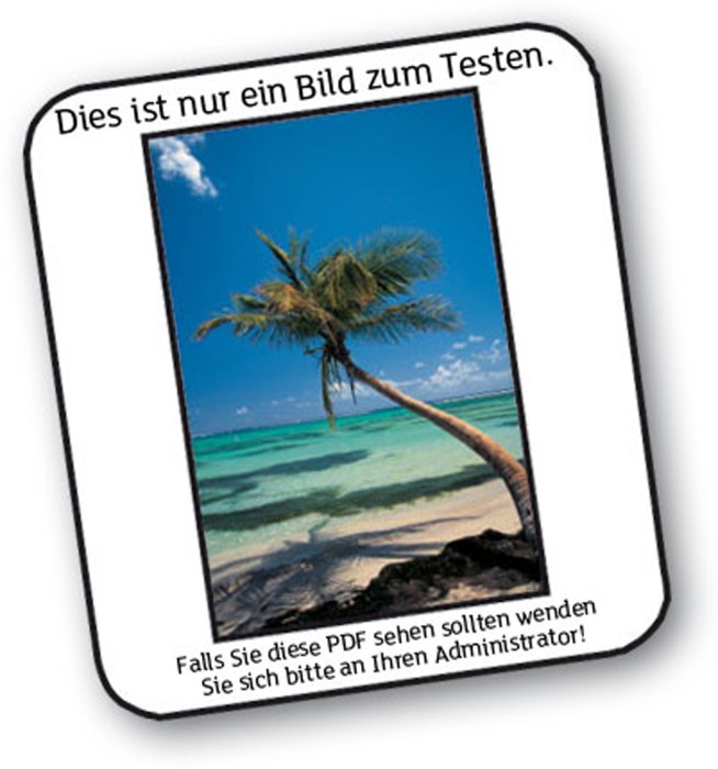 Mein Bild