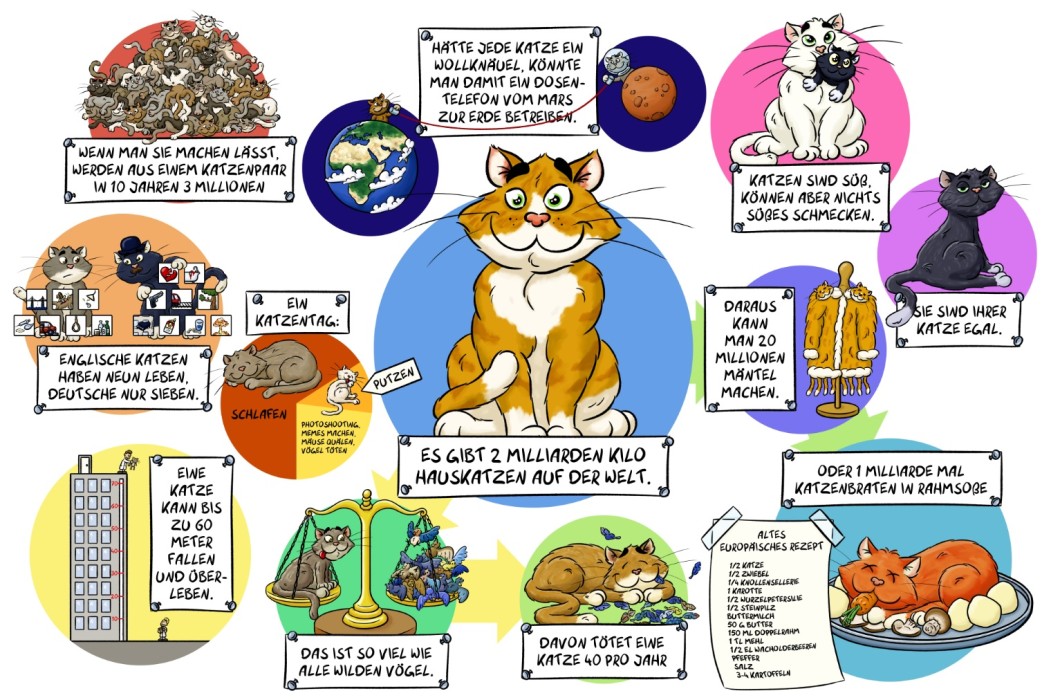 Katzenfakten